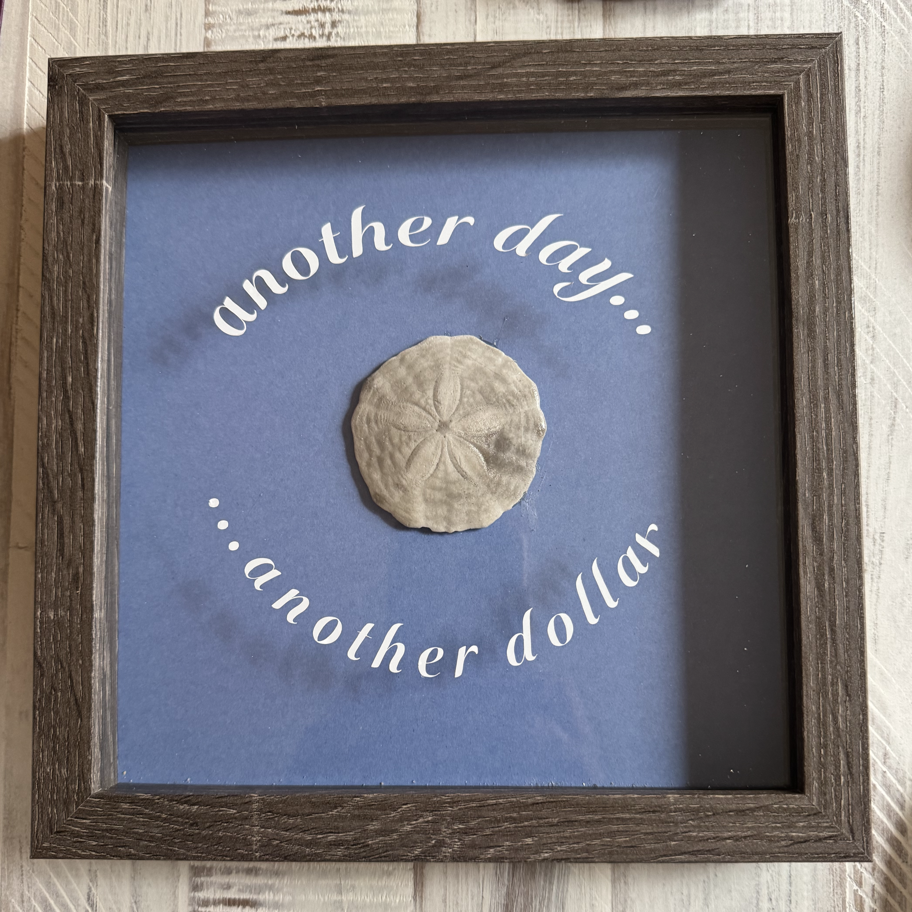 Framed sand dollar with 'another day... another dollar' text on a wooden surface.