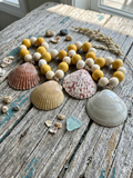 Calico Scallop Shell Napkin Rings (Set of 4)