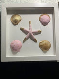 Pink & Gold Starfish Shell Shadow Box