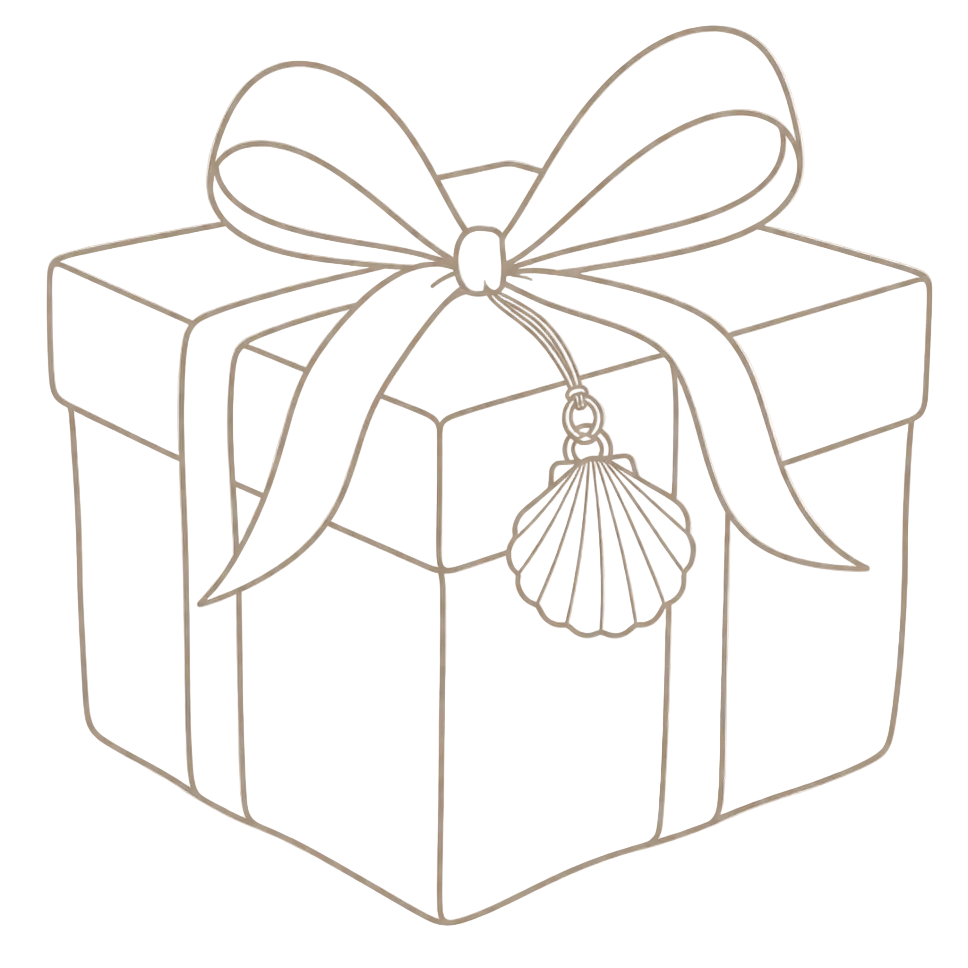 Outline of a gift box with a bow and shell charm on a transparent background